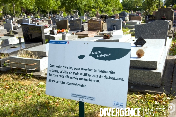 Illustration Aout 2015.Le cimetiere parisien d Ivry.Amenage de façon paysagere,Il beneficie dune gestion respectueuse de l environnement