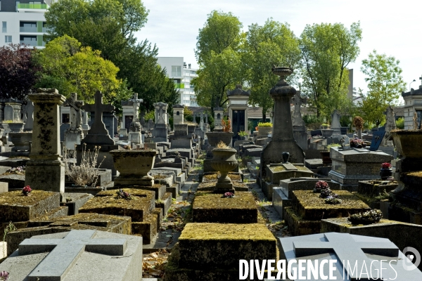 Illustration Aout 2015.Le cimetiere parisien d Ivry.Amenage de façon paysagere,Il beneficie dune gestion respectueuse de l environnement