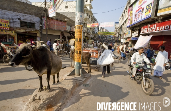 Inde