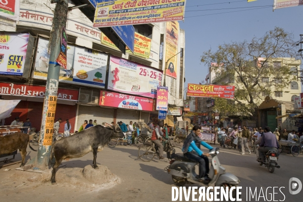 Inde
