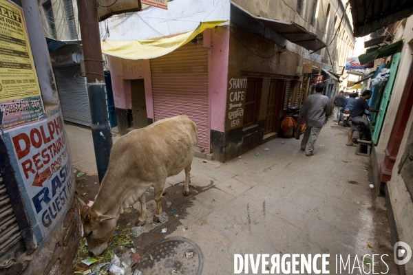 Inde