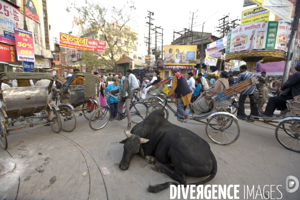 Inde