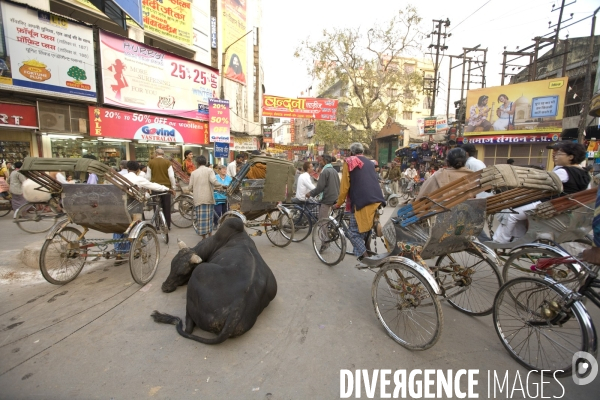 Inde