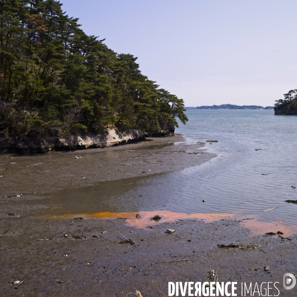 Japon, Sendai - Ishinomaki, sur les traces du tsunami