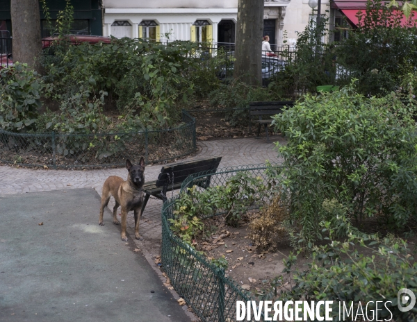 Evacuation de réfugiés africains du square de la Chapelle