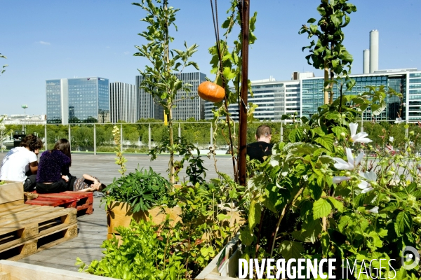 La nature dans la ville.Agriculture urbaine.Living roof.