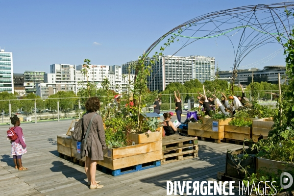 La nature dans la ville.Agriculture urbaine.Living roof.