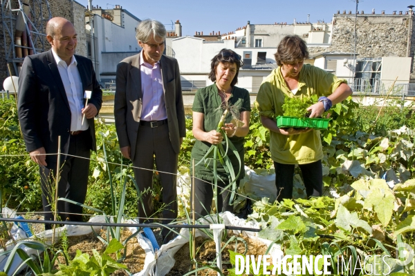 Toit potager sur un immeuble de bureaux d ERDF. Primeurs en ville