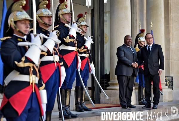 François Hollande reçoit Ali Bongo