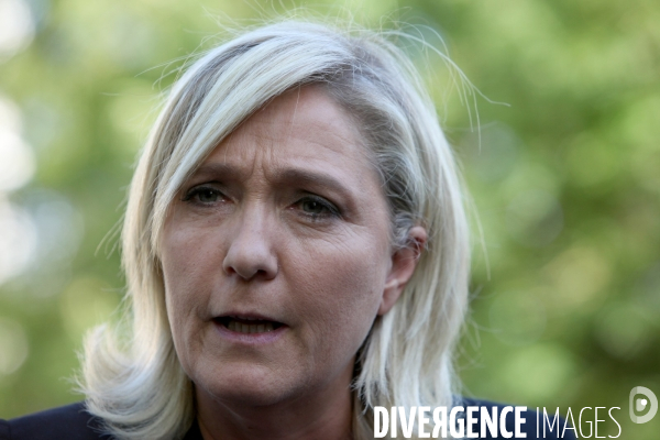 Regionales. marine le pen wallerand de saint just