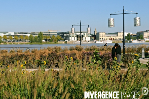 Des villes.Bordeaux.Les quais de Garonne.