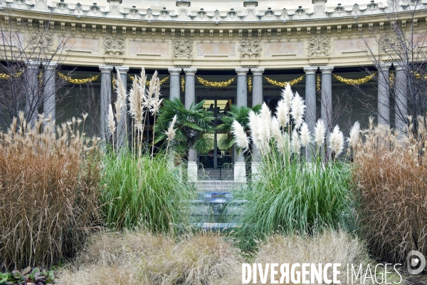 Des villes.Musee des Beaux Arts de la ville de Paris. Le jardin et le peristyle interieur