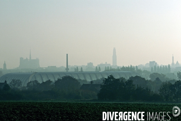 Des villes.Amiens.Dans la brume matinale, le stade de la Licorne,la cathedrale et la tour Perret