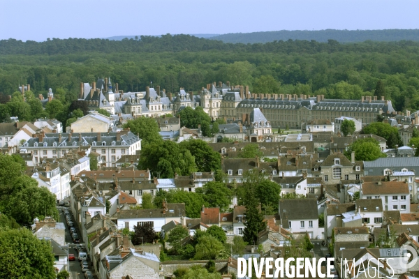 Des villes.Fontainebleau.Vue aerienne du chateau et de la foret domanial