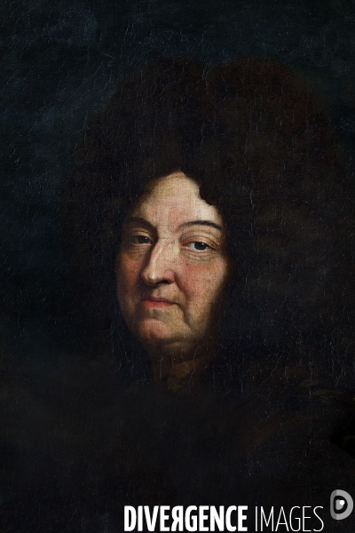 Louis xiv