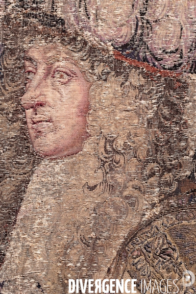 Louis xiv