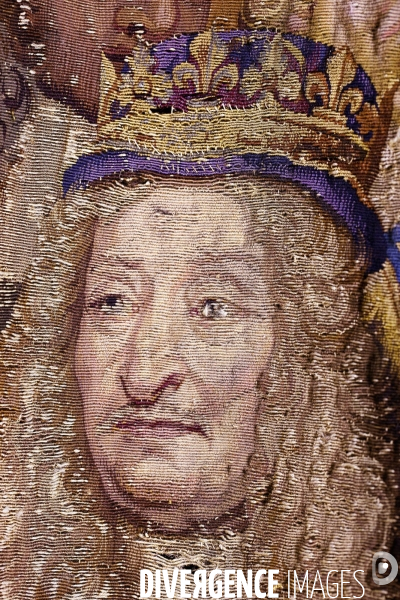 Louis xiv