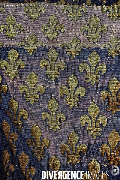 Louis xiv