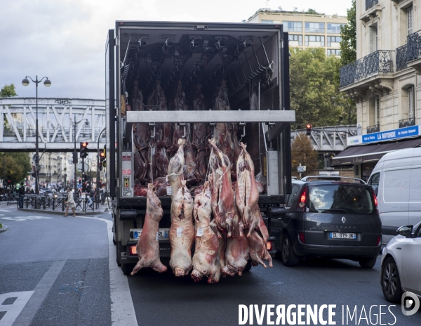 La Chapelle Paris Nord. Livreur de viande