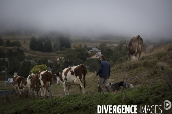 Petite Chronique d en Haut Le Fromage