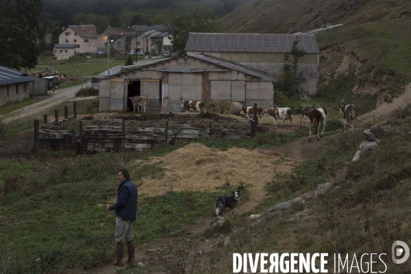 Petite Chronique d en Haut Le Fromage