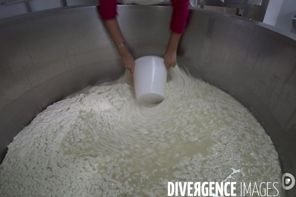 Petite Chronique d en Haut Le Fromage