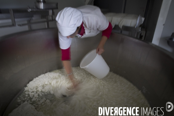 Petite Chronique d en Haut Le Fromage