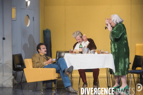 Trissotin ou les femmes savantes - moliere - macha makeieff -