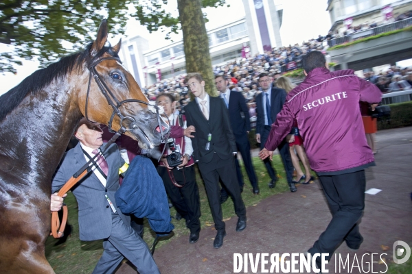 Prix de l Arc de Triomphe 2015