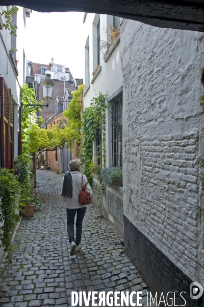 Illustration Septembre 2015.Bruxelles.
