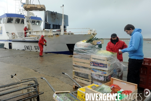 La vie quotidienne sur l île de Sein en hiver