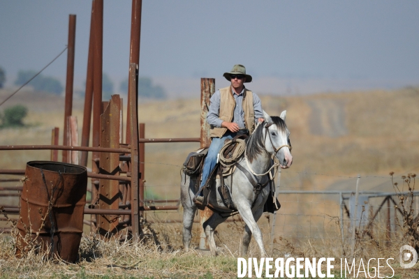 Les cow boys du plateau du golan