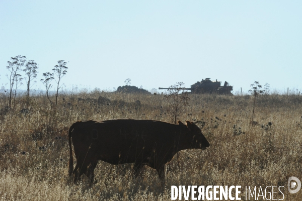 Les cow boys du plateau du golan