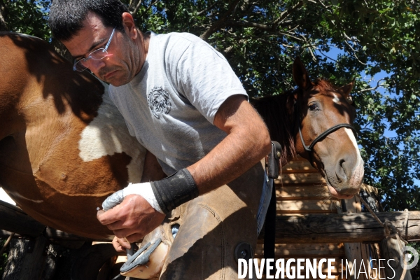 Les cow boys du plateau du golan