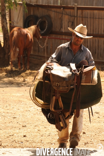 Les cow boys du plateau du golan