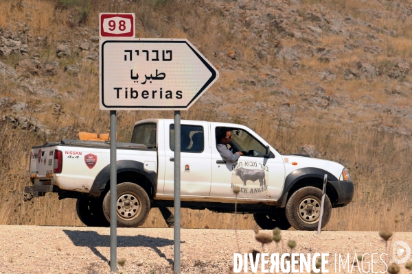 Les cow boys du plateau du golan