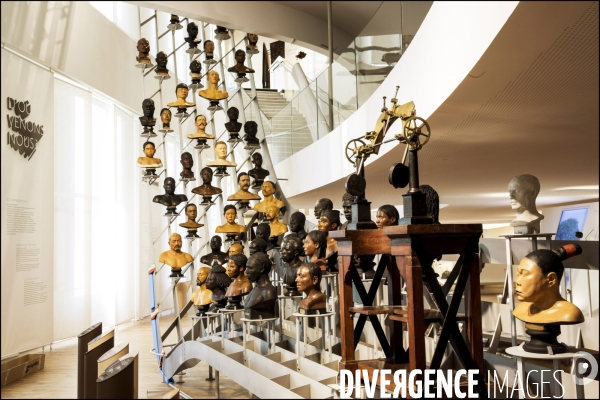 Après 6 ans de travaux et une nouvelle muséographie, le Musée de l Homme rouvre ses portes au public.