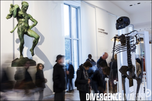 Après 6 ans de travaux et une nouvelle muséographie, le Musée de l Homme rouvre ses portes au public.