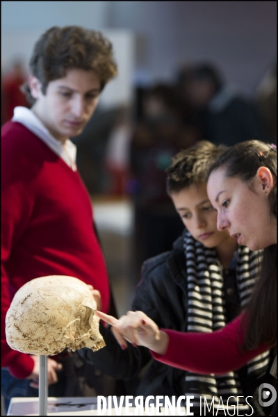 Après 6 ans de travaux et une nouvelle muséographie, le Musée de l Homme rouvre ses portes au public.