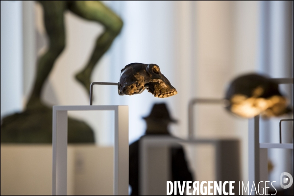 Après 6 ans de travaux et une nouvelle muséographie, le Musée de l Homme rouvre ses portes au public.