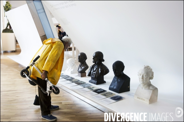 Après 6 ans de travaux et une nouvelle muséographie, le Musée de l Homme rouvre ses portes au public.
