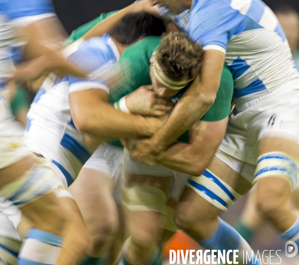Coupe du monde de rugby Argentine-Irlande