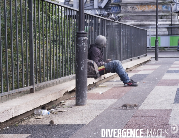 Maitre chien, square Jessaint, la Chapelle Paris Nord.