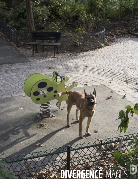 Maitre chien, square Jessaint, la Chapelle Paris Nord.