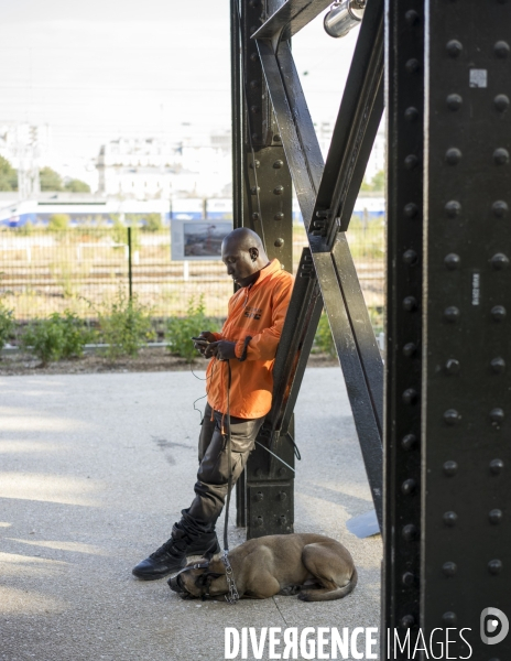 Maitre chien, square Jessaint, la Chapelle Paris Nord.