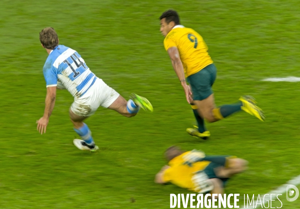 Coupe du monde de rugby Argentine-Australie