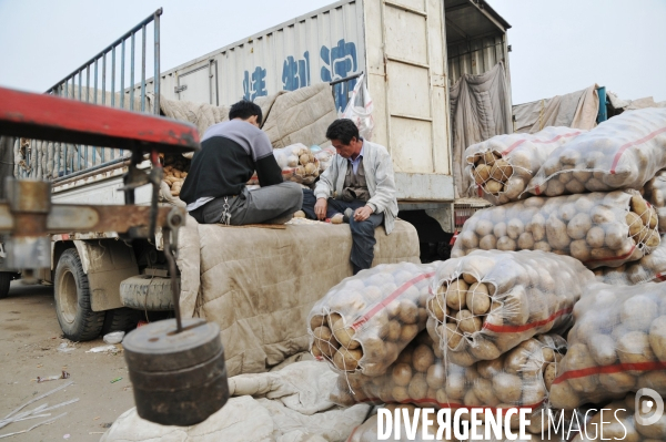 Xin Fa Di - Beijing main wholesale food market - Le principal marché en gros de Pékin