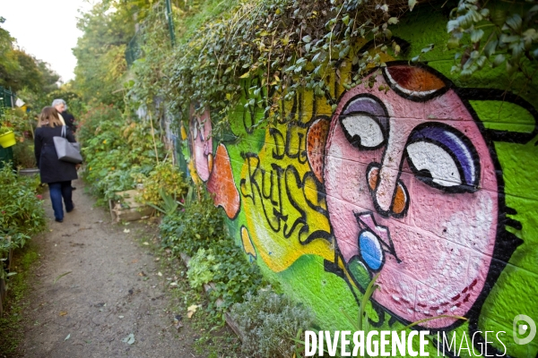 Illustration Octobre2015.Jardin partage du Ruisseau dans le 18 eme