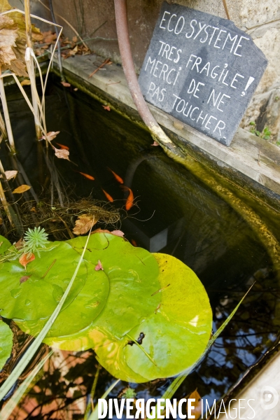 Illustration Octobre2015.Jardin partage du Ruisseau dans le 18 eme