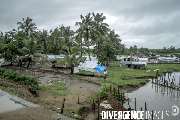 Birmanie : Rohingyas, une minorité sans voix.
